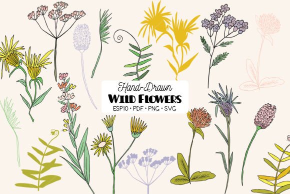 Download Colored Wild Flowers, Meadow Plant, Fern - Fern Collection
