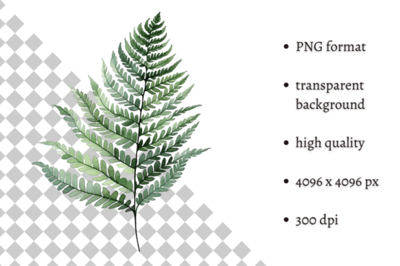 Download Watercolor Woodland Fern PNG Clipart - Premium Resources
