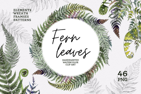 Download Green Fern Leaves Watercolor - Fern Collection
