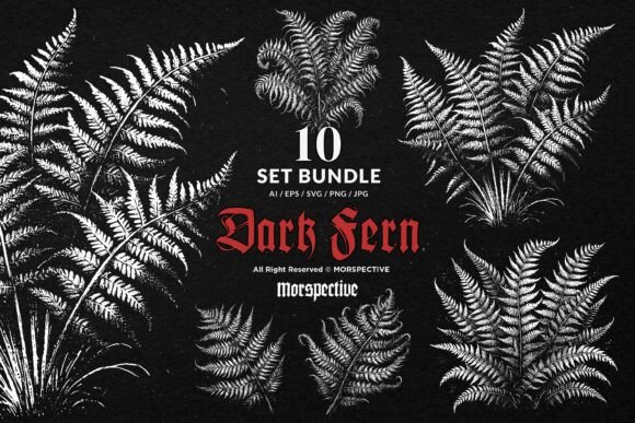 Download 10 Bundle Dark Art Fern Plant Wild Leaf - Fern Collection