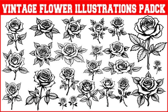 Download Vintage Flower Illustrations Pack - Pack Collection