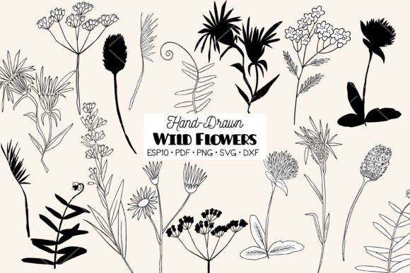 Download Wild Flowers, Meadow Plants, Leaf, Fern - Fern Collection