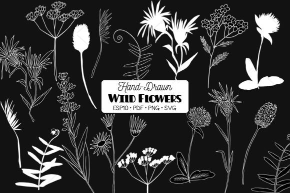Download White Wild Flowers, Meadow Plant, Fern - Fern Collection