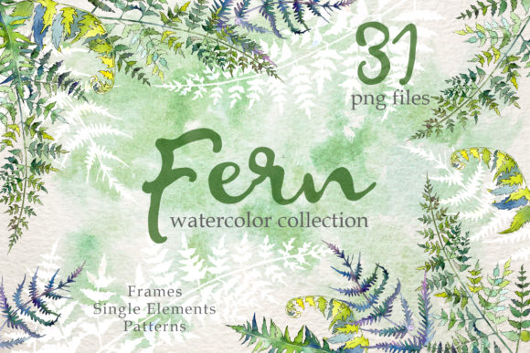 Download Fern Watercolor - Fern Collection