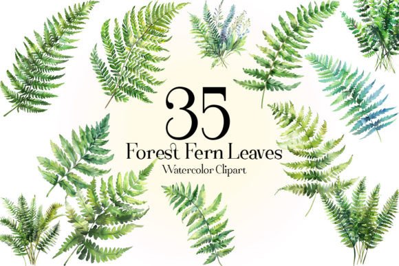 Download Forest Fern Leaves Clipart - Fern Collection