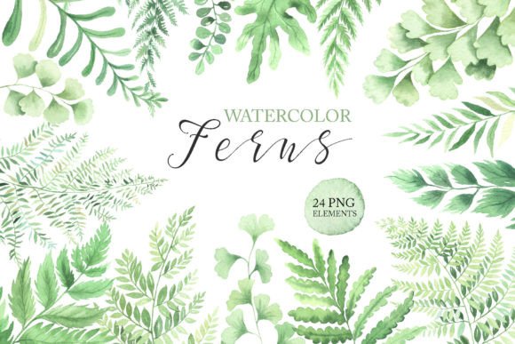 Download Watercolor Fern Green Leaves Clipart PNG - Fern Collection