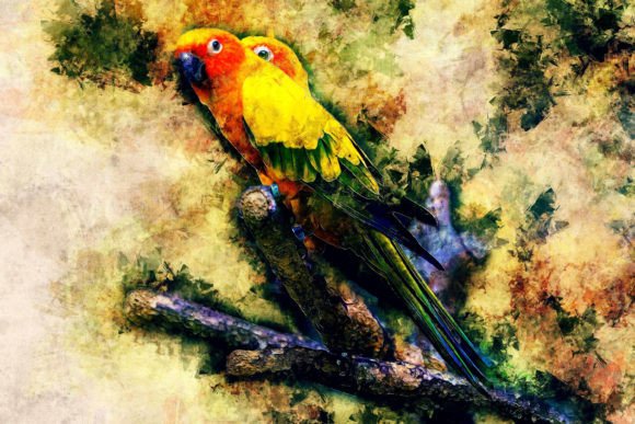Download Bird Printable Graphics Pack# 06 - Pack Collection